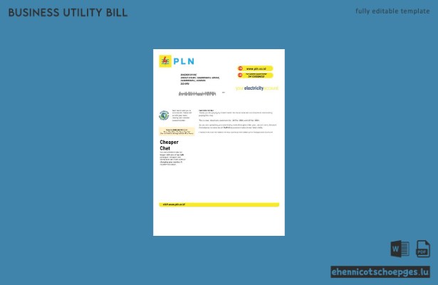Beispiel einer Stromrechnung des indonesischen Energieversorgers PLN